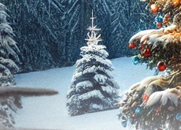 Waldweihnacht Pfadi Eibu