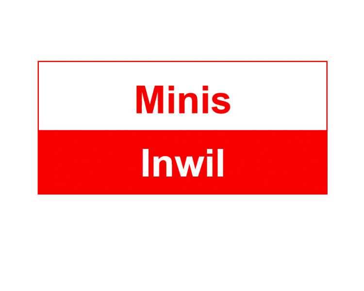 2019 Minis Inwil